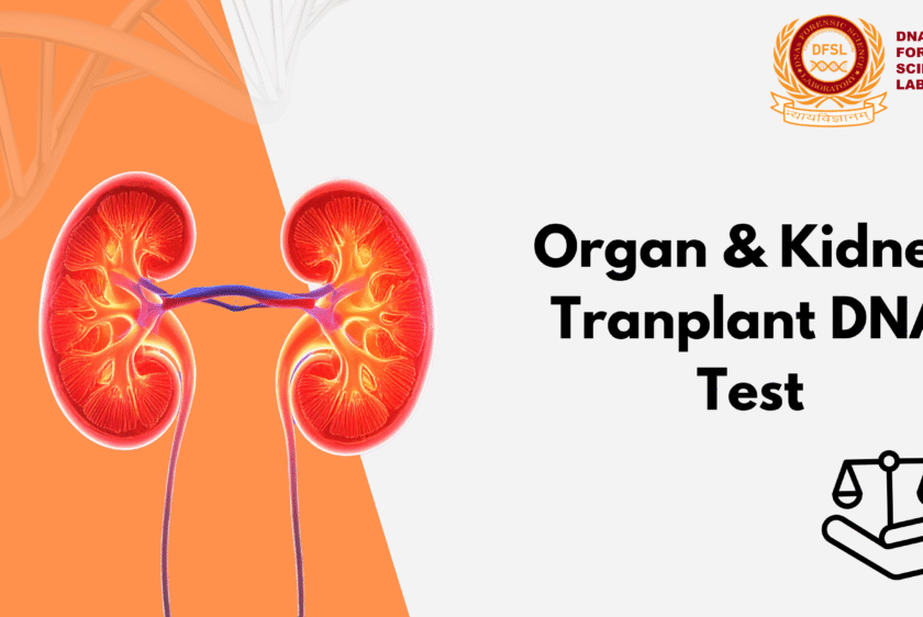 Organ & Kidney Transplant DNA Test - THOA