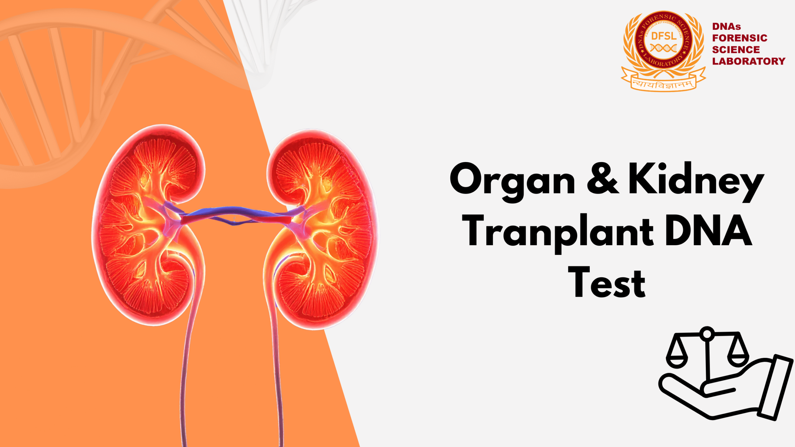 Organ & Kidney Transplant DNA Test - THOA