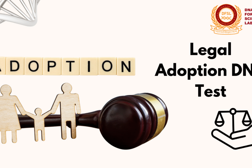 Legal adoption DNA Test