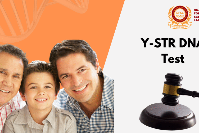 Legal Y-STR DNA Test for Paternal Lineage – Court Admissible