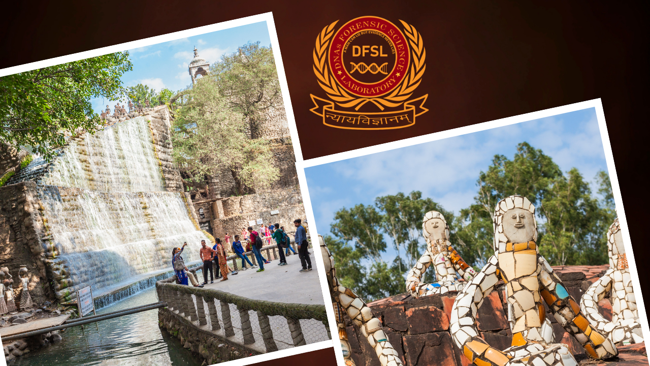 DNA Test in Chandigarh